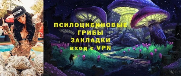 PSILOCYBIN Верхний Тагил